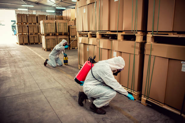 Best Pest Control Near Me  in Solvay, NY
