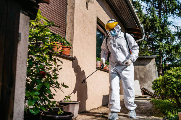 Best Pest Removal Services  in Solvay, NY