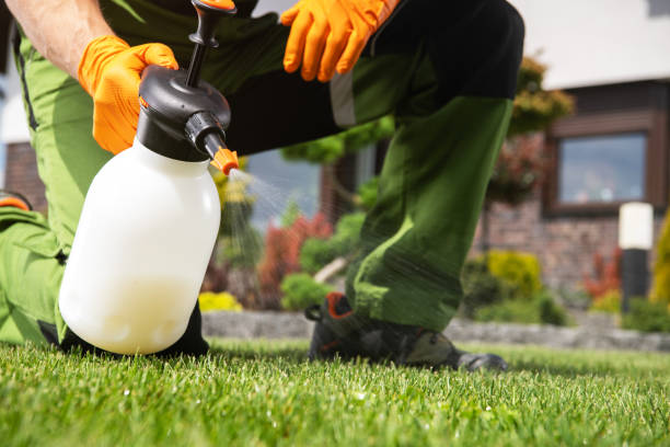 Best Best Pest Control Companies  in Solvay, NY