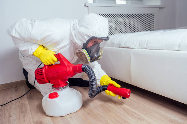 Best Termite Control Services  in Solvay, NY