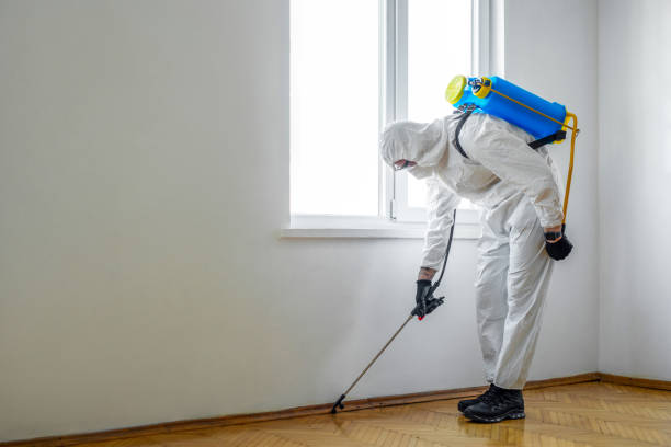 Best Emergency Pest Control  in Solvay, NY