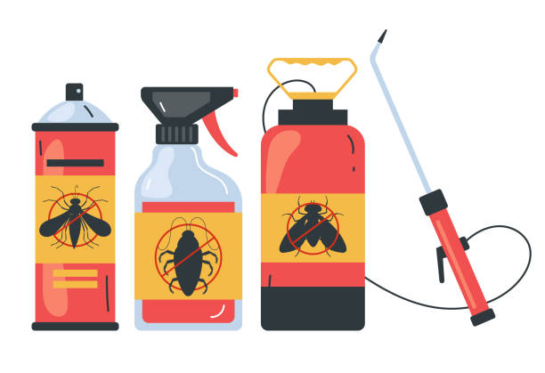Best Pest Inspection Near Me  in Solvay, NY