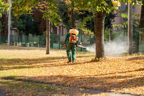 Best Rodent Control Near Me  in Solvay, NY
