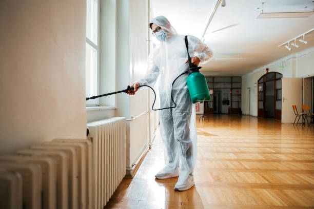 Best Mosquito Control Services  in Solvay, NY