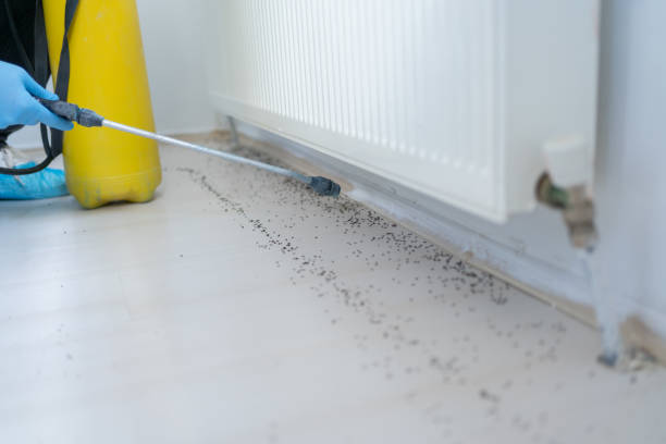 Best Wildlife Control Services  in Solvay, NY